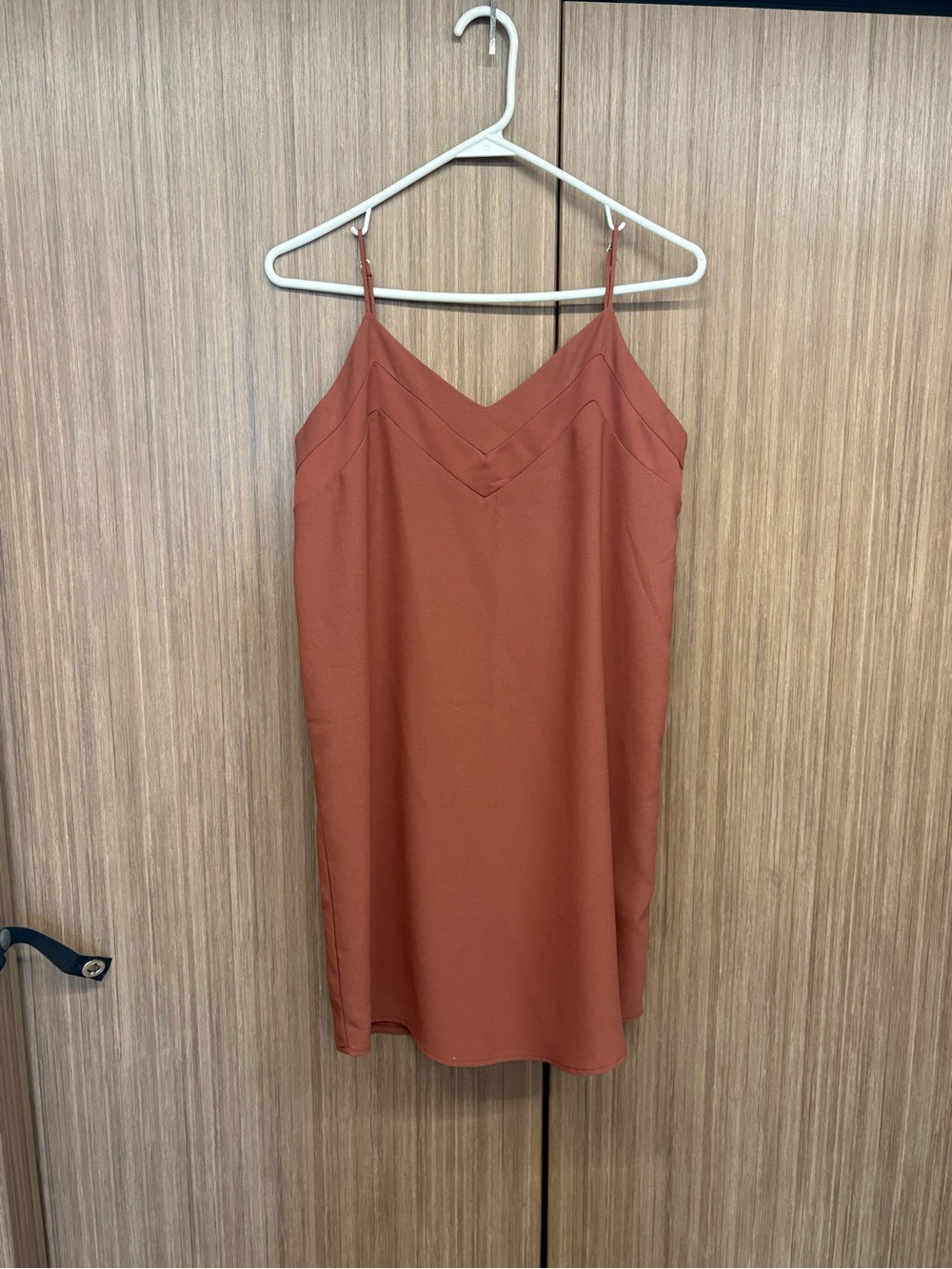 Naked Zebra Terracotta Slip Dress